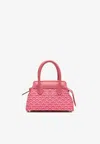 Pinel Et Pinel Mini Patti Coated Canvas Monogram Handbag