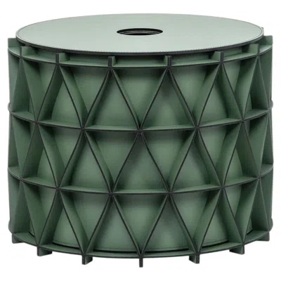 Pre-owned Pinetti Arena Small Green Leather Basket