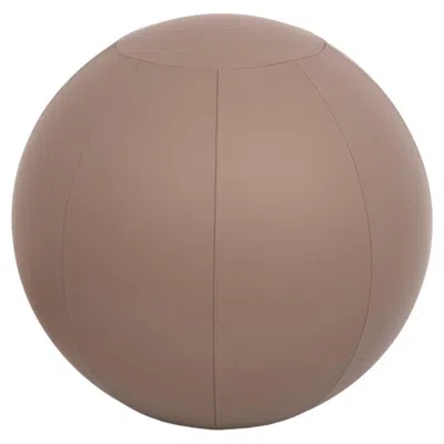 Pre-owned Pinetti Leather Taupe Fitball In Brown