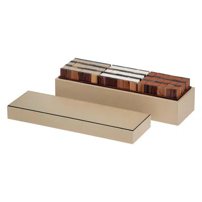 Pre-owned Pinetti Pisa Tower Box In Brown
