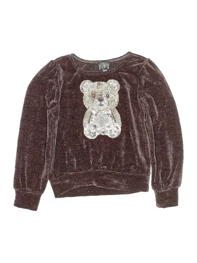 Pre-owned Pink & Violet Kids' Pullover Sweater In Brown