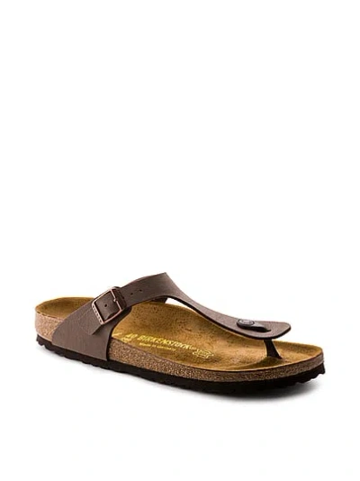 Pink Birkenstock Gizeh Sandals In Brown
