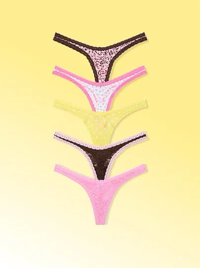 Pink By Frankies Bikinis Eden 5-pack Lace Teeny Thong In Multi