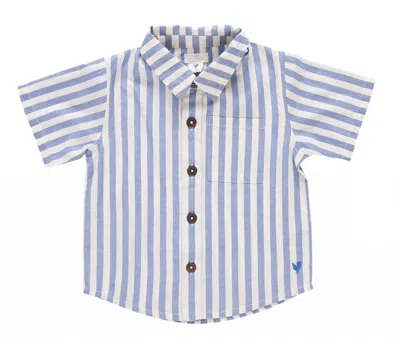 Pink Chicken Kids' Boy's Jack Shirt In Blue Stripe