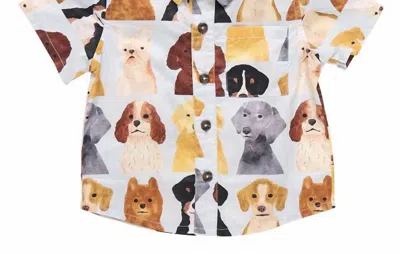 Pink Chicken Kids' Boy's Jack Shirt In Light Blue Watercolor Dogs In Multi