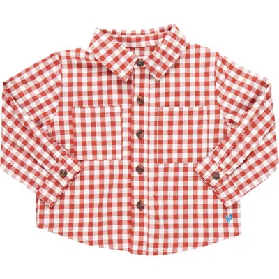 Pink Chicken Kids' Boys Jack 2 Pocket Shirt In Pony Gingham In Multi