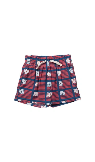 Pink Chicken Boys Swim Trunk In Red