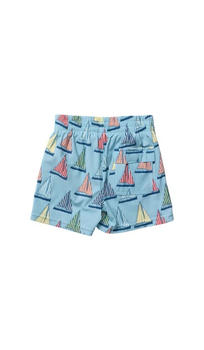 Pink Chicken Boys Swim Trunk In Blue Regatta