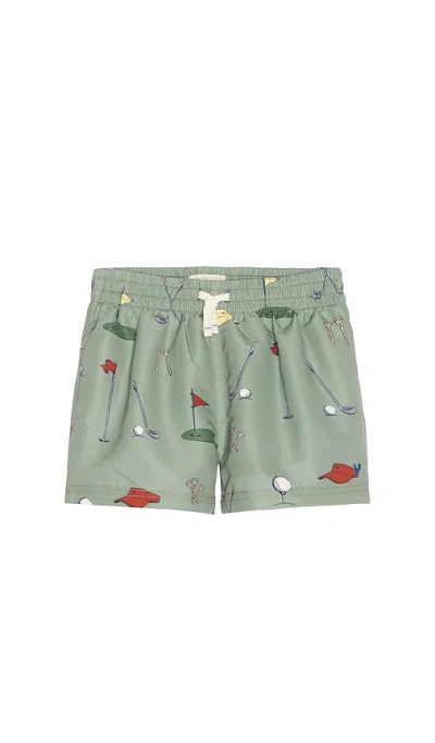 Pink Chicken Boys Swim Trunk In Green Golf Tournament