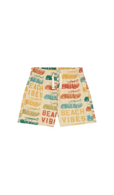 Pink Chicken Boys Swim Trunk In Beach Vibes