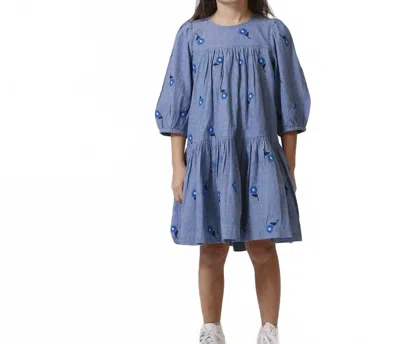 Pink Chicken Kids' Fiona Dress In Blue Blossom Embroidery