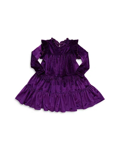 Pink Chicken Girls' Kalani Velour Dress - Little Kid In Plum Velour