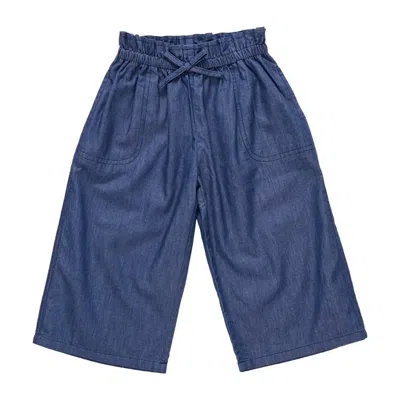 Pink Chicken Kids' Girls Theodore Pants In Chambray In Blue