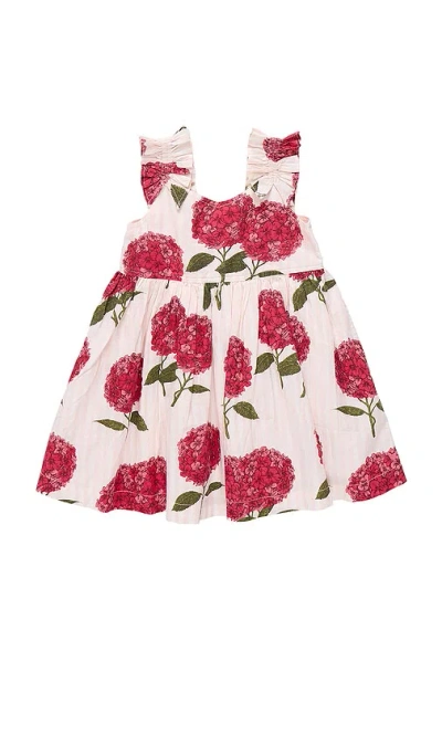 Pink Chicken Girls Via Dress