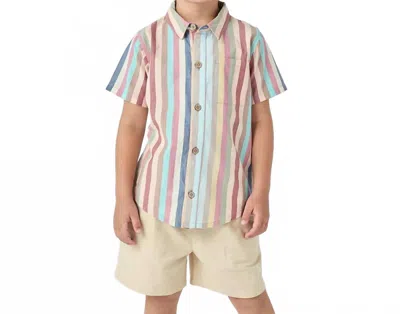 Pink Chicken Kids' Jack Shirt In Multi Vintage Stripe