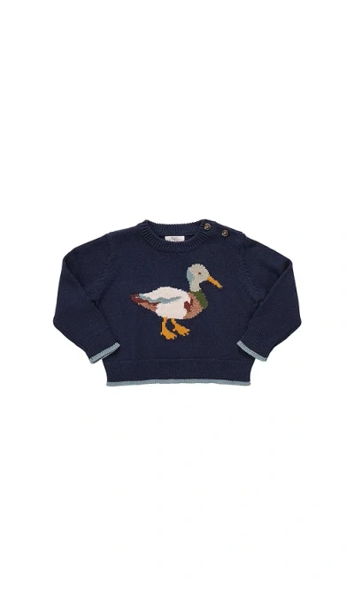 Pink Chicken Oliver Æ¯›è¡£ Â€“ Navy Mallard. Å°ºç � 5 (also Â€“ 2, 3, 4, 6). In Blue