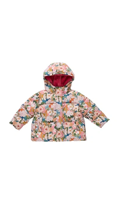 Pink Chicken Ruffle Pete Puffer In Multi