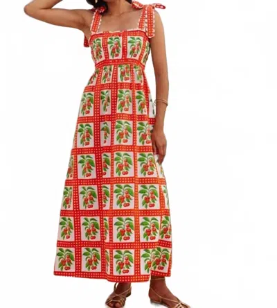 Pink City Prints Immy Maxi Dress In Cherry Picnic In Multi