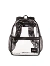 Pink Clear Backpack In Black