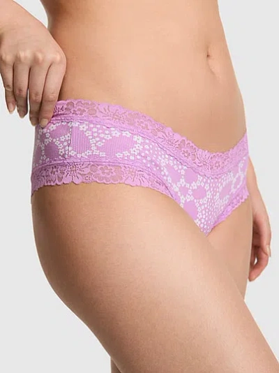Pink Cotton Lace Trim Cheeky Panty In Purple