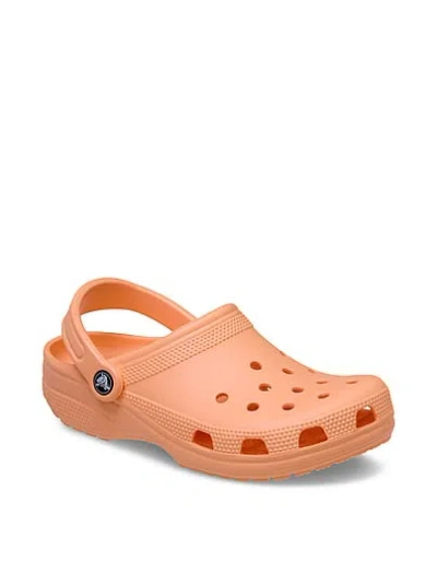 Pink Crocs Classic Solid Clogs In Orange
