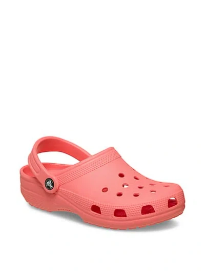 Pink Crocs Classic Solid Clogs In Multi
