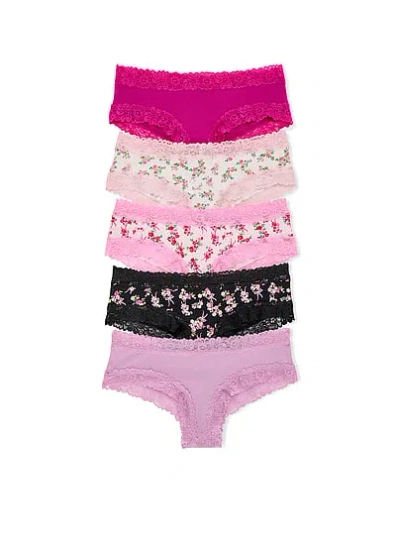 Pink Lace Cheeky Pack Panty In Multi