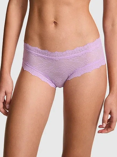 Pink Lace Cheeky Panty In Purple