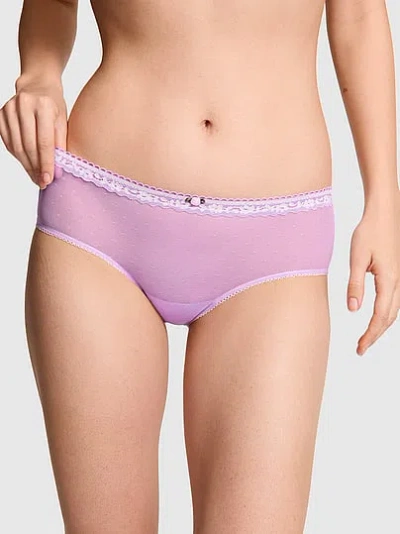 Pink Lace Cheeky Panty In Purple