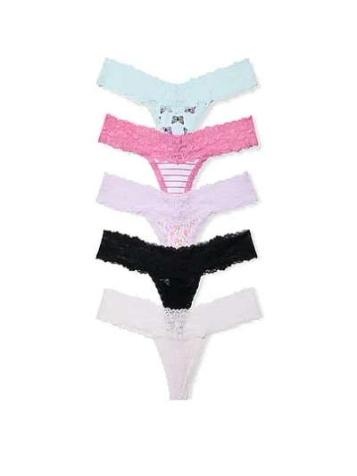 Pink Lace Thong Pack Panty In Multi