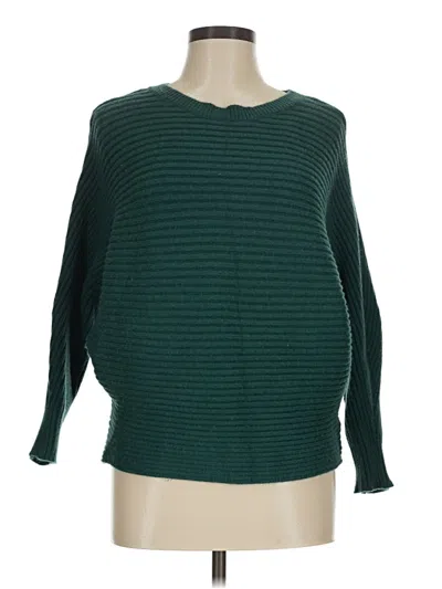 Pre-owned Pink Lily Pullover Sweater In Green