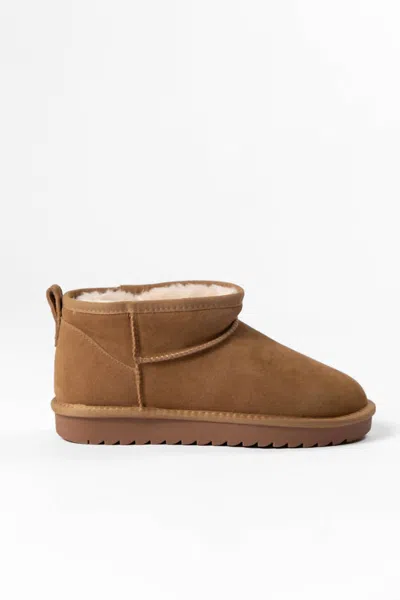 Pink Lily Women's Georgia Platform Mini Boot In Chestnut
