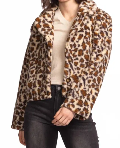 Pink Martini Bethany Coat In Multi Color In Neutral