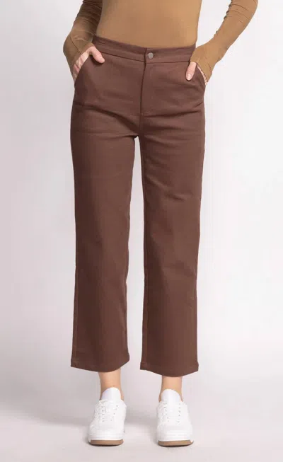 Pink Martini Phoenix Pants In Brown