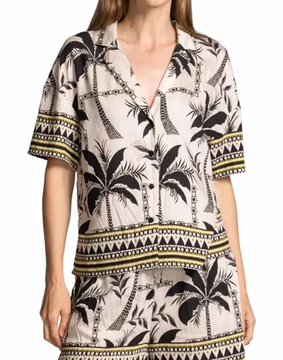 Pink Martini Ramona Top In Black