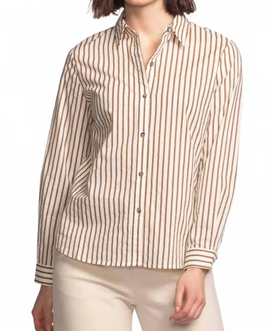 Pink Martini Striped Button Up Blouse In Brown In Neutral
