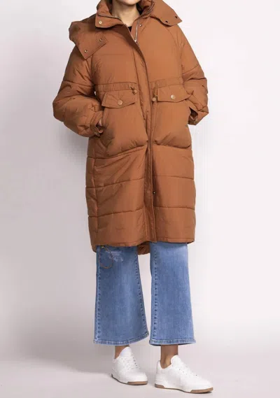 Pink Martini Tanya Jacket In Brown
