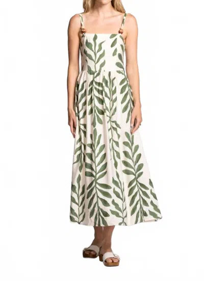 Pink Martini Women's Magnolia Dress In White