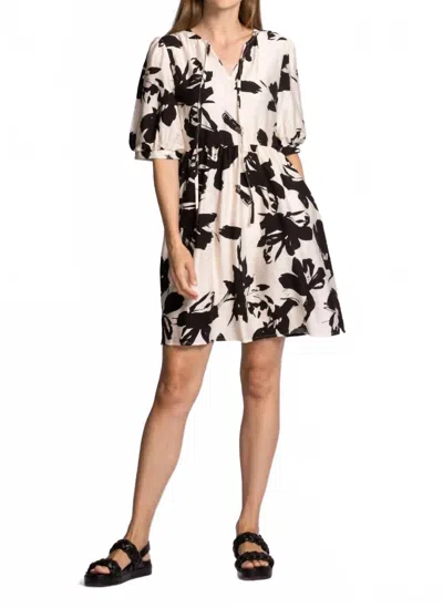 Pink Martini Women's Shadow Floral Mini Dress In Black And Ivory In Multi