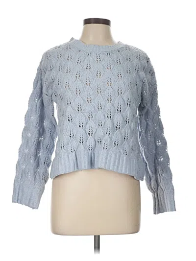 Pre-owned Pink Rose Pullover Sweater In Blue