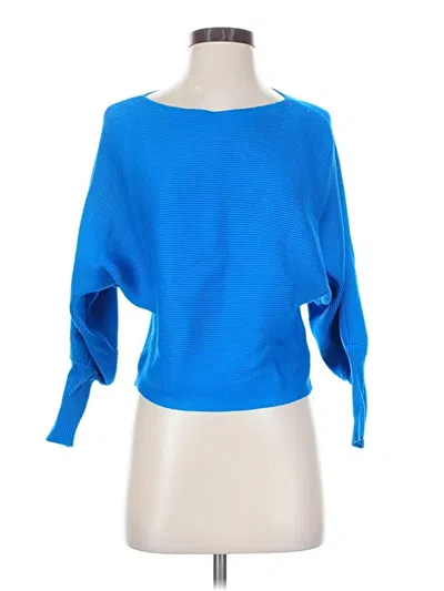 Pre-owned Pink Rose Pullover Sweater In Blue