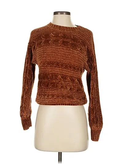 Pre-owned Pink Rose Pullover Sweater In Brown