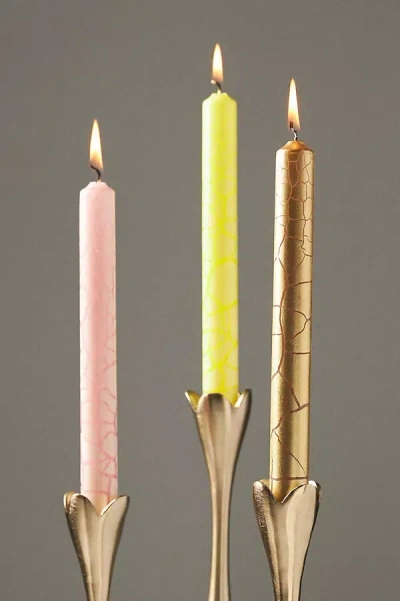 Pink Stories Wild Taper Candles, Set Of 3 In Multi