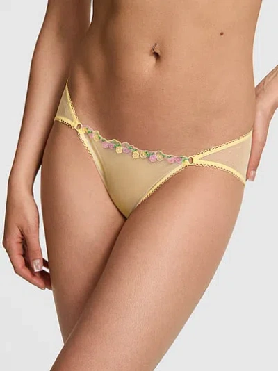 Pink Wink™ Low-rise Cheeky Panty In Multi