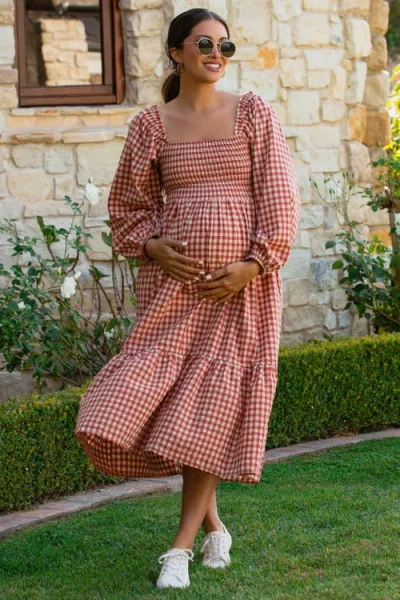 Pinkblush Gingham Long Sleeve Midi Dress