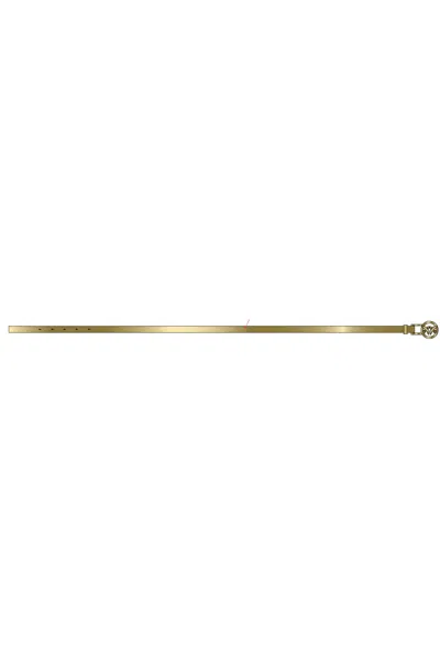 Pinko Adjustable Waist Belt In Gold