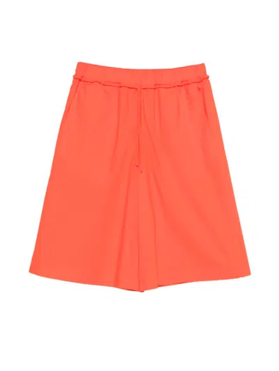 Pinko `alcamo` Bermuda In Multi
