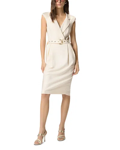 Pinko Amadine Dress Belted Waist Sleeveless V Neckline In Multi