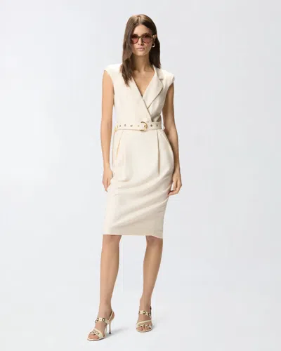 Pinko Amadine Dress Belted Waist Sleeveless V Neckline In Multi