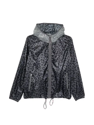 Pinko Animal-print Hooded Jacket In Black